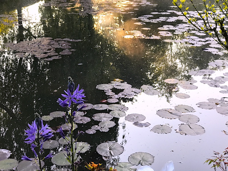 Paint with Lori McNee in Giverny at Monet's Garden May 2019